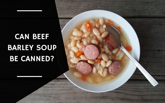 Can Beef Barley Soup Be Canned