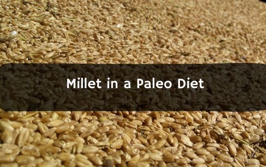 Millet in a Paleo Diet