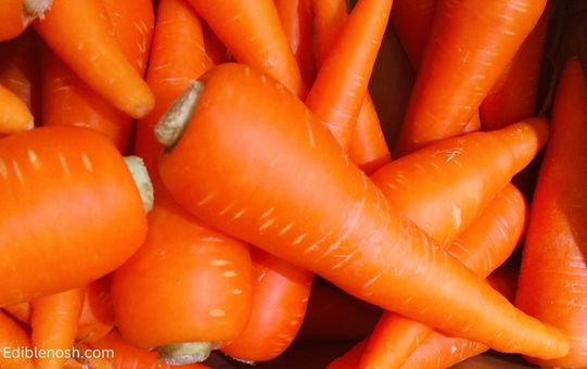 Nutritional Value of Raw Carrots