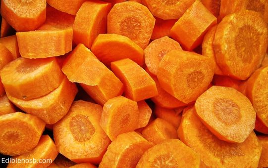 The Nutritional Value of Raw Carrots