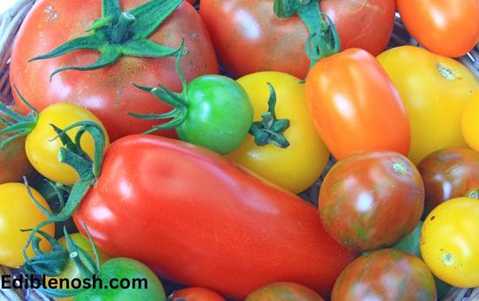 Tips to make tomato sauce better