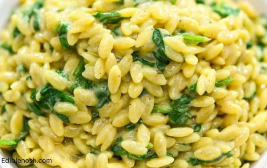 What is Orzo?