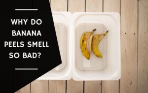 Why Do Banana Peels Smell so Bad