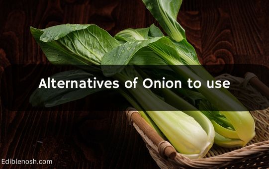 Alternatives of Onion to use