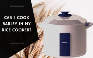 Can I Cook Barley In My Rice Cooker
