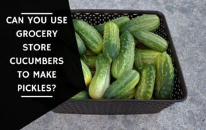 Can You Use Grocery Store Cucumbers To Make Pickles
