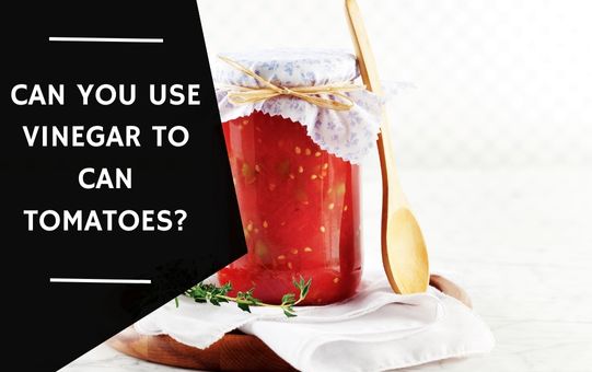 Can You Use Vinegar To Can Tomatoes