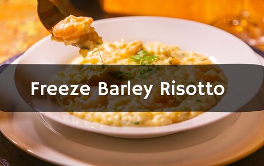 Freeze Barley Risotto