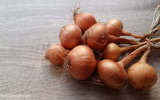 Health benefits of onions