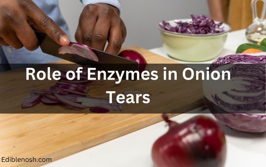 Role of Enzymes in Onion Tears