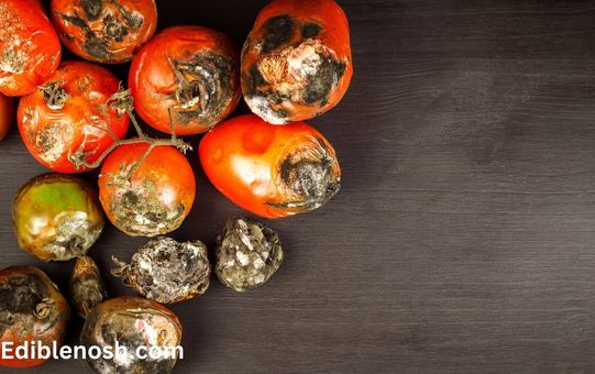 The Risk of Food Poisoning from Old Tomatoes