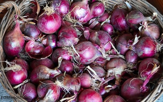 The science behind onions turning blue