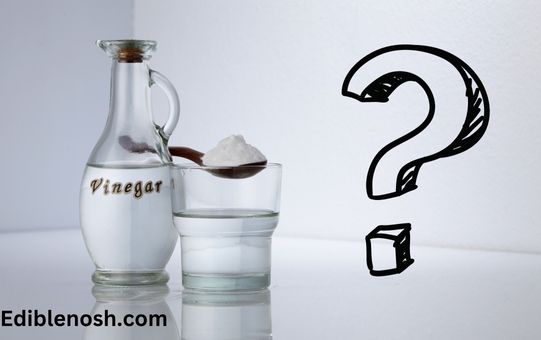 What is vinegar