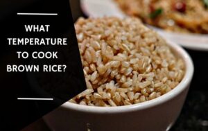 What temperature to cook brown rice