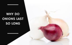 Why Do Onions Last So Long