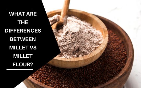 What Are The Differences Between Millet Vs Millet Flour