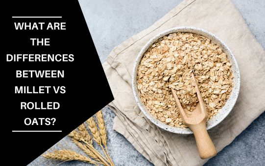 What Are The Differences Between Millet Vs Rolled Oats? - Ediblenosh