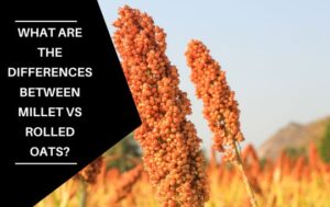 What Is The Difference Between Millet Vs Sorghum Taste